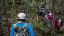 Para wisatawan berjalan mengelilingi hutan Kita-Yatsugatake selama tur mengamati lumut di dekat kota Sakuho, Jepang, 9 Juni 2018. Mengamati lumut tengah menjadi tren di Jepang sebagai upaya rekreasi dan menenangkan pikiran. (BEHROUZ MEHRI/AFP)
