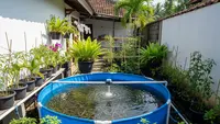 5 Desain Kolam Bundar untuk Budidaya Udang yang Hemat Tempat dan Produktif