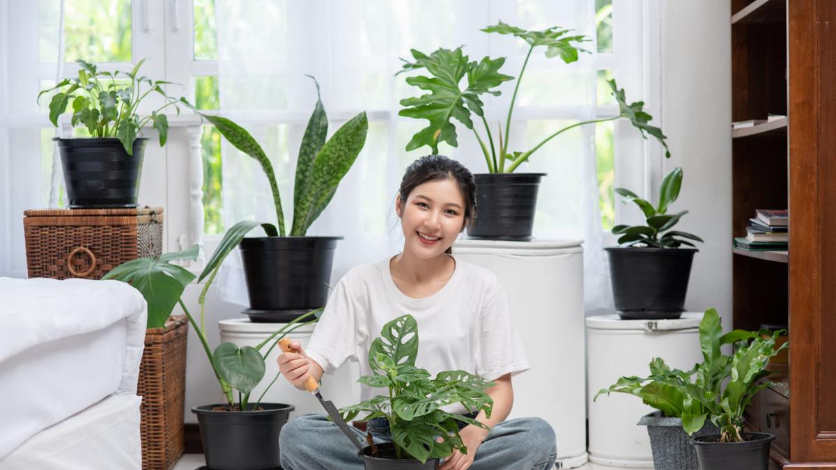 Langkah Sederhana untuk Memulai Gaya Hidup Lebih Hijau di Kehidupan Sehari-Hari