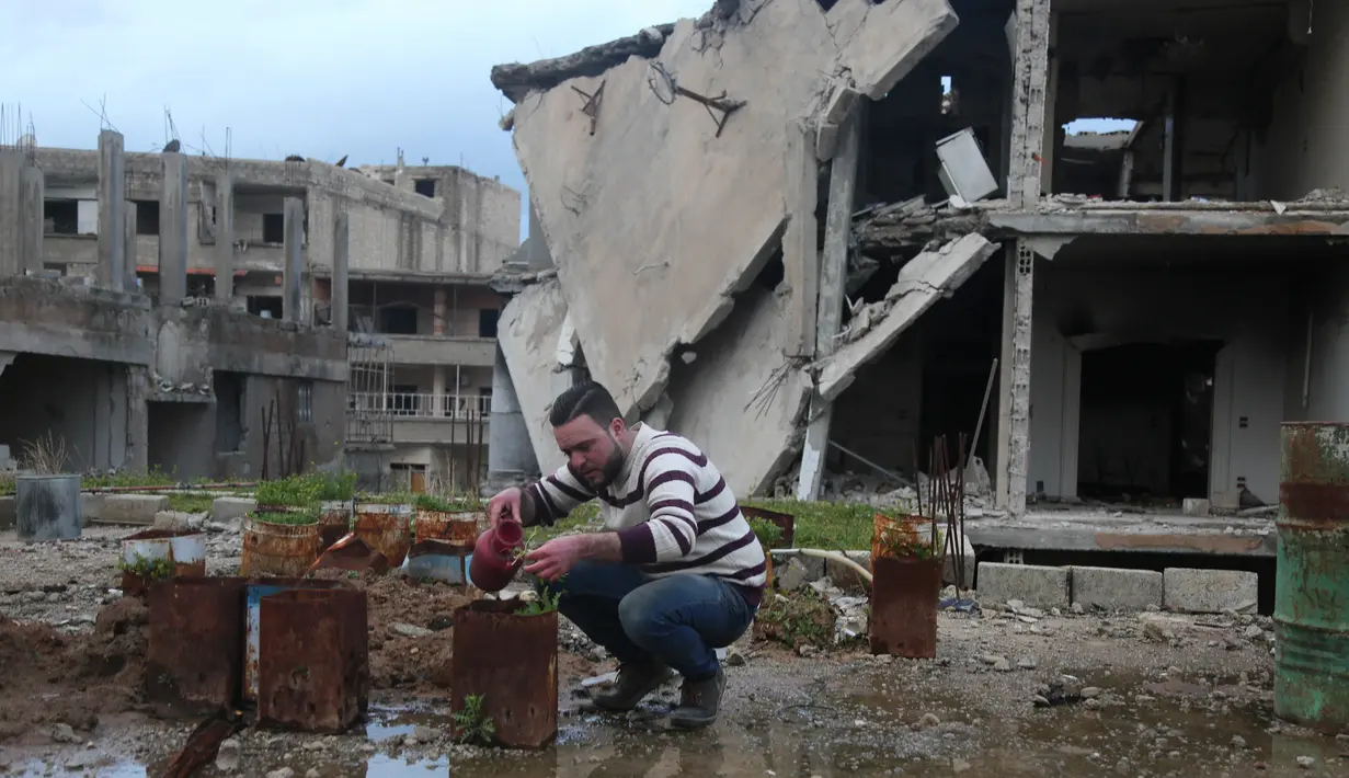 Mohamed Ataya menyiram tanaman yang ditanam di atap bangunan yang rusak di wilayah Ghouta timur di ibukota Damaskus, Suriah (3/3). Akibat perang, kini Abu Maher menjadi pembudidaya bibit tanaman demi bertahan hidup. (AFP/Amer Almohibany)