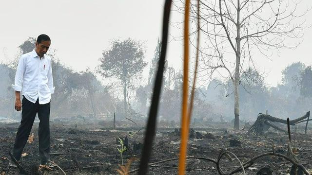 Presiden Jokowi berada di lokasi kebakaran lahan yang mengepulkan kabut asap di Desa Merbau, Kecamatan Bunut, Pelalawan, Riau.
