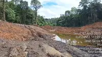 Penggundulan hutan pendidikan dan latihan Universitas Mulawarman (Unmul) Samarinda, Kalimantan Timur, oleh penambang batubara ilegal. (dok. Biro Humas Kemenhut)