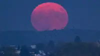 Pink Moon yang diambil pada 29 April 2017. (THOMAS KIENZLE/AFP)