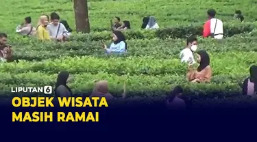 Wisata Kebun Teh Cisarua Bogor diserbu Warga