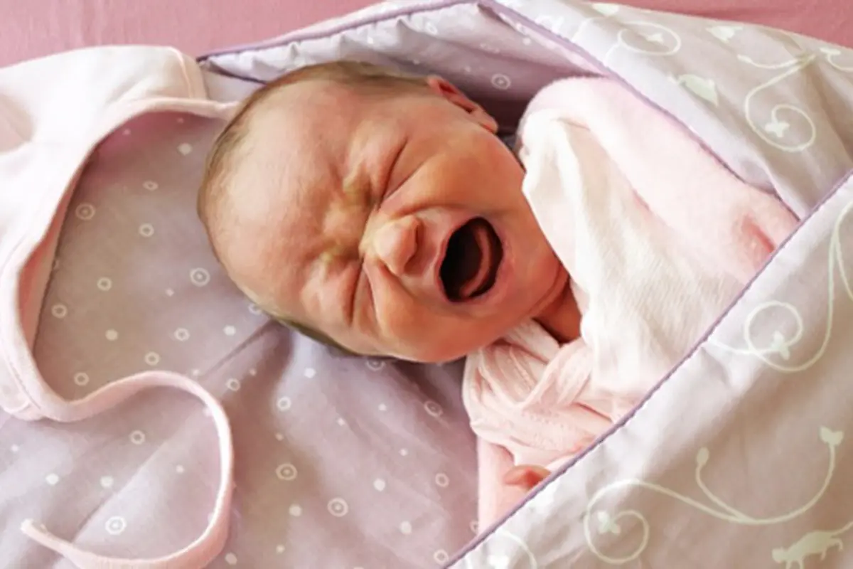 Photo: Copyright Thinkstockphotos.com