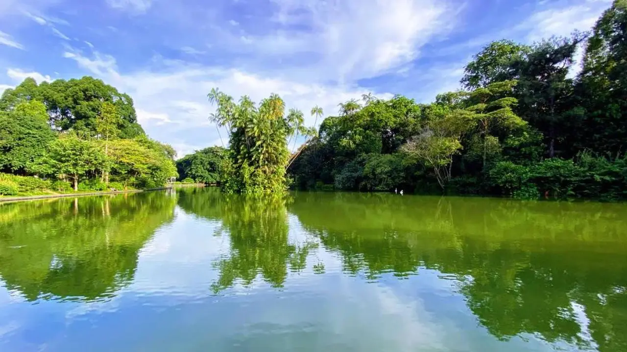 Kebun Raya Singapura Kini Punya Galeri Seni dan Koleksi Tanaman Langka