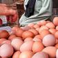 Seorang pembeli memilih telur pada agen telur di Tangerang, Banten, Selasa (8/3/2022). Menurut pedagang,  pekan ini harga telur ayam ras mengalami kenaikan dari harga Rp19 ribu menjadi Rp24 ribu per kilogram. (Liputan6.com/Angga Yuniar)