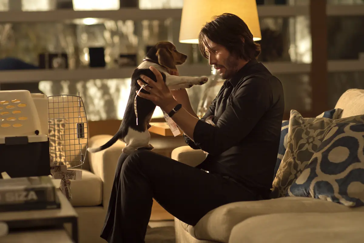 [Bintang] John Wick