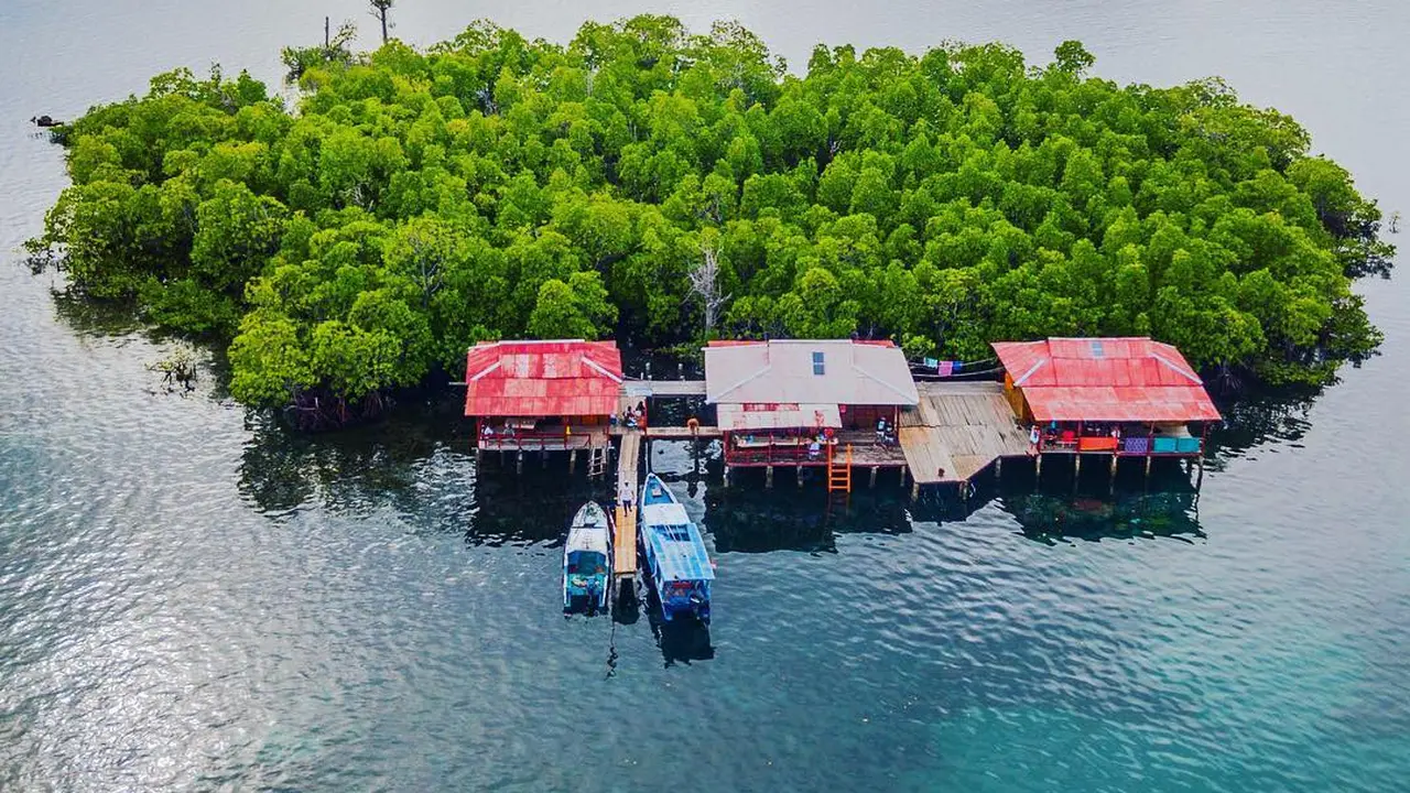 [Bintang] Sulawesi