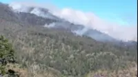 Gunung Argopuro kebakaran, pendakian ditutup sementara. (Istimewa)