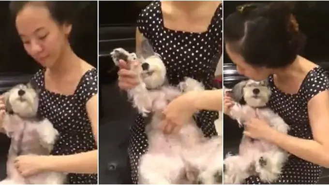 Photo copyright Dailymail.co.uk