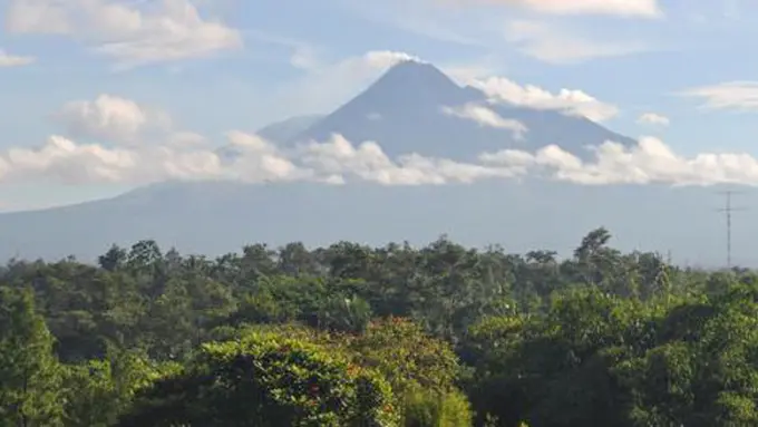 courtesy merdeka.com