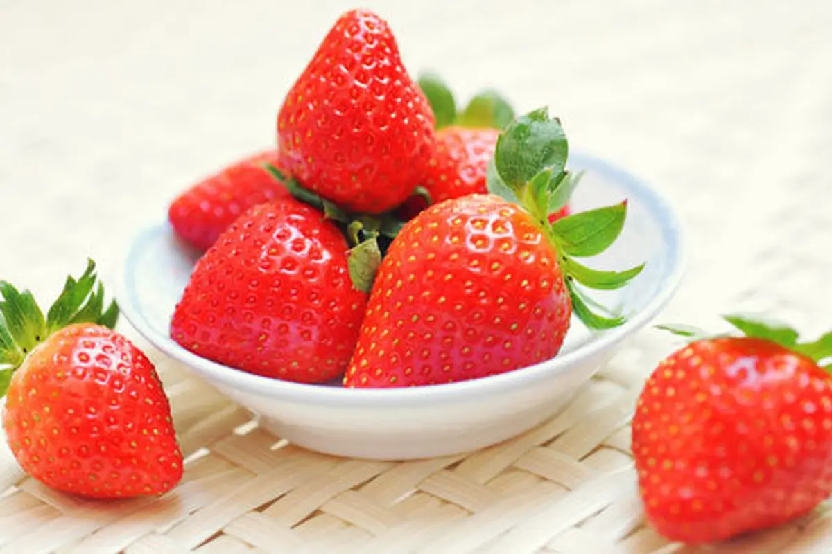 (c) shutterstock