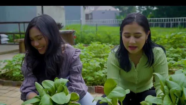 Potret Kebun Organik Milik Prilly Latuconsina, Ada Sayur Hingga Buah-buahan. (Sumber: YouTube/Prilly Latuconsina)