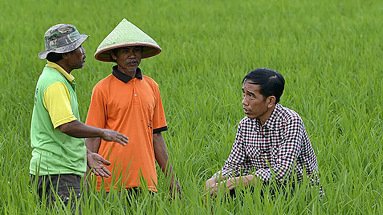 Jokowi Pakai 'One Map Policy' Benahi Persoalan Pertanahan