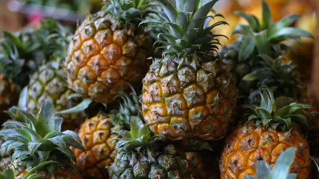 Ilustrasi nanas