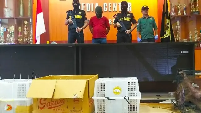 Petugas Bea Cukai Dumai menangkap dua penyelundup tiga orang utan dan satwa dilindungi lainnya yang akan dikirim ke Malaysia.