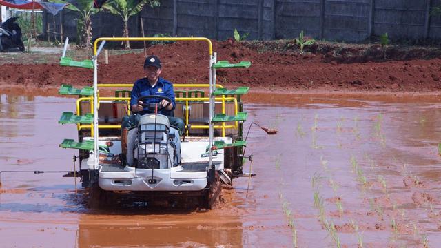 Peran Generasi Petani Milenial di Era Pertanian 4.0