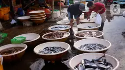 Suasana pasar ikan di Kamal Muara, Jakarta, Jumat (15/4/2022). Menteri Kelautan dan Perikanan Sakti Wahyu Trenggono memastikan pasokan ikan untuk kebutuhan selama Ramadhan 1443 Hijriah dan Hari Raya Idul Fitri aman. (Liputan6.com/Angga Yuniar)