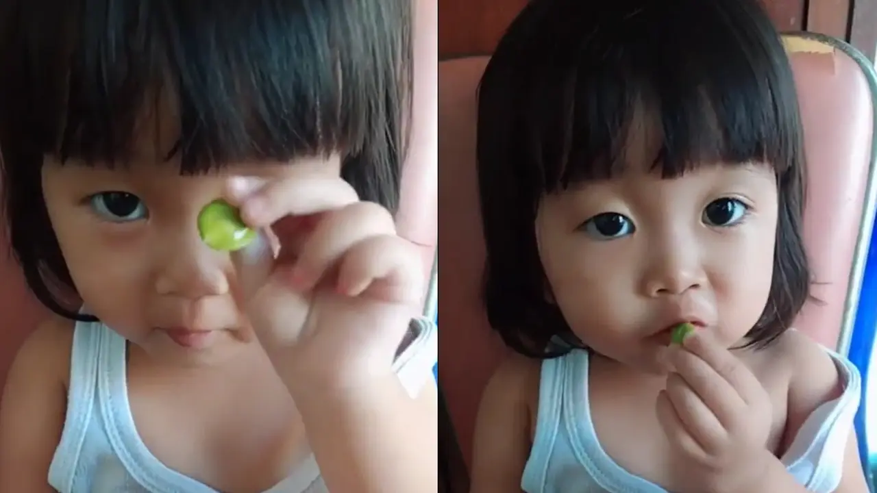 Bocah kecil makan petai layaknya camilan