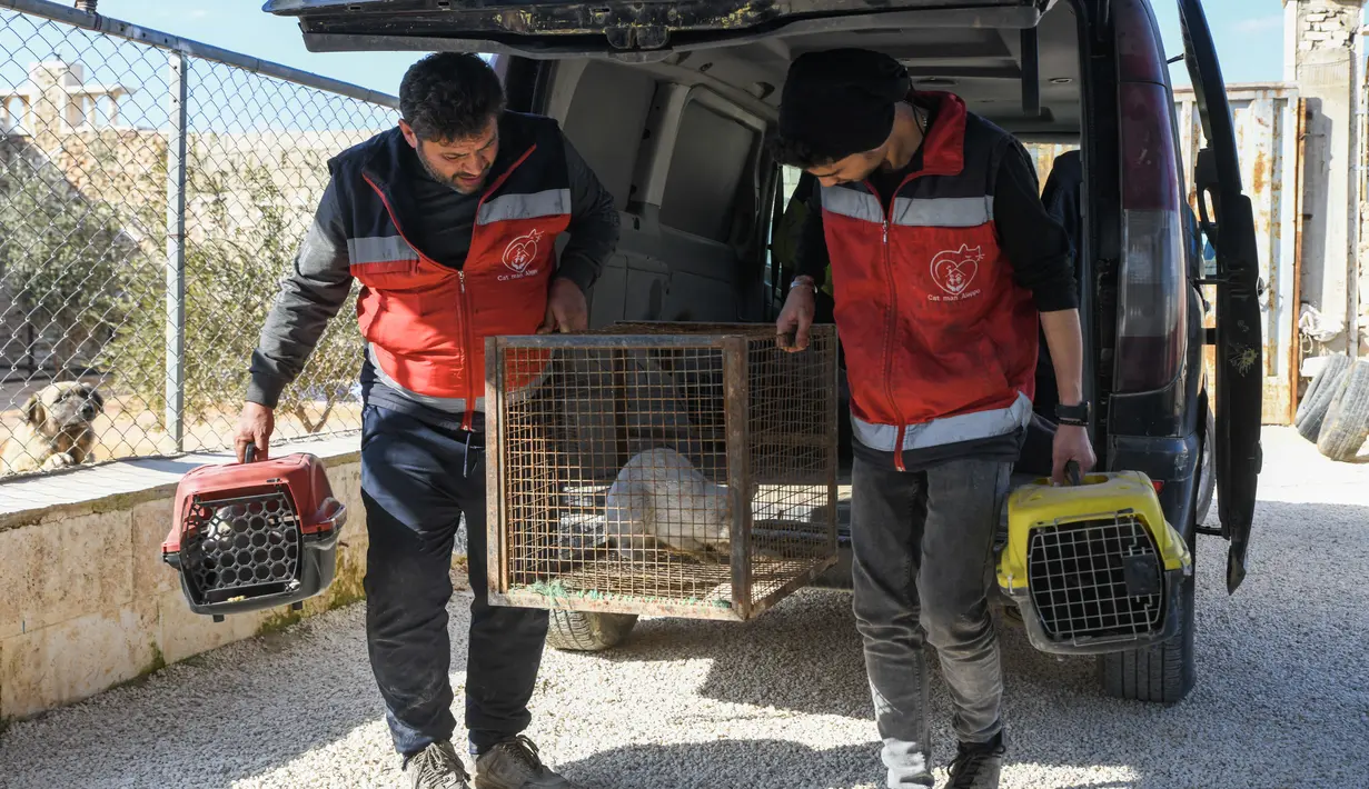 Relawan Mohammed Alaa al-Jalil (kiri) dan rekannya membawa kucing yang mereka selamatkan dari puing-puing bangunan yang hancur akibat gempa di tempat penampungan hewan di al-Bab, di provinsi Aleppo, Suriah yang dikuasai pemberontak pada 24 Februari 2023. Bencana itu menewaskan lebih dari 45.000 orang di kedua negara. (AFP/Rami al Sayed)
