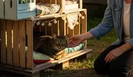 7 Ide Rumah Kucing dari Peti Kayu Bekas dengan Desain Lucu dan Nyaman