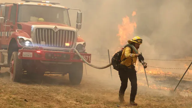Kebakaran Hutan California Hanguskan Ribuan Hektare Lahan