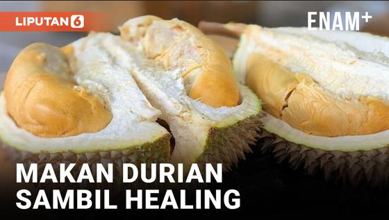VIDEO: Sensasi Makan Durian Sambil Healing di Kawasan Wisata Bukit Pao