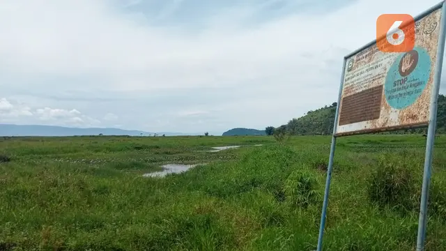 sawah yang terendam di Desa Meko