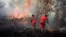 Petugas pemadam kebakaran berusaha memadamkan api yang membakar lahan gambut di Rimbo Panjang, Riau pada 20 Juli 2025. (Wahyudi/AFP)