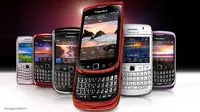 RIM Meroket, Invasi BlackBerry Dimulai