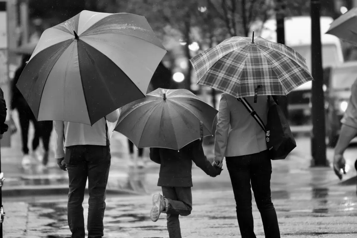 Musim hujan/unsplash dimitri