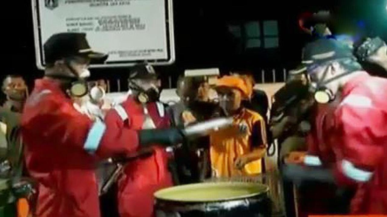 Basmi Tikus, Pemprov DKI Berikan Rp 80 Juta per Kelurahan