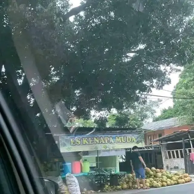 6 Tulisan Typo di Spanduk Warung Es Kelapa Muda Ini Bikin Tepuk Jidat