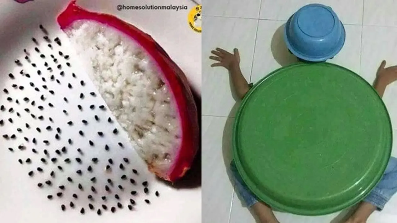 6 Aksi Nyeleneh Orang Saat Gabut Ini Bikin Geleng Kepala