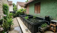 10 Cara Menempatkan Kolam Lele agar Tidak Mengganggu Tetangga, Cocok untuk Pekarangan Rumah