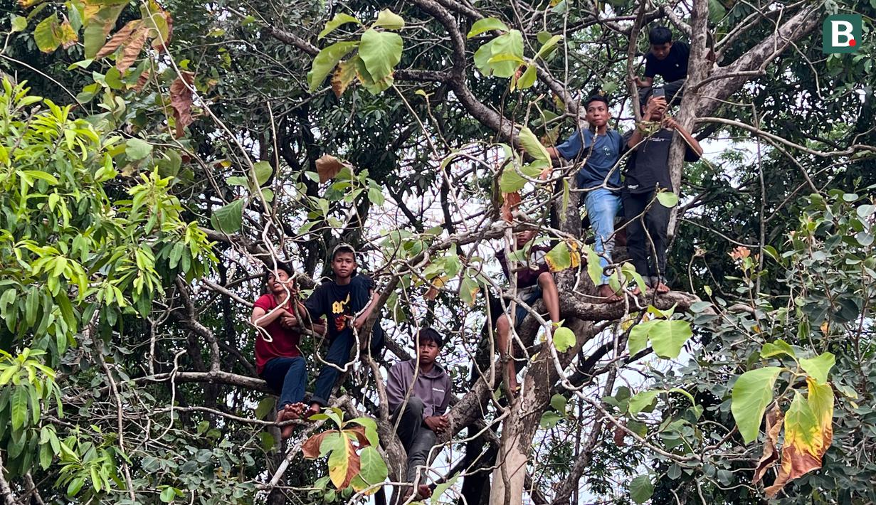 Yamaha Cup Race 2024 ini memang menjadi hiburan rakyat. Ajang balap ini tidak dipungut biaya tiket alias gratis untuk warga yang ingin menonton langsung. (Bola.com/M Iqbal Ichsan)