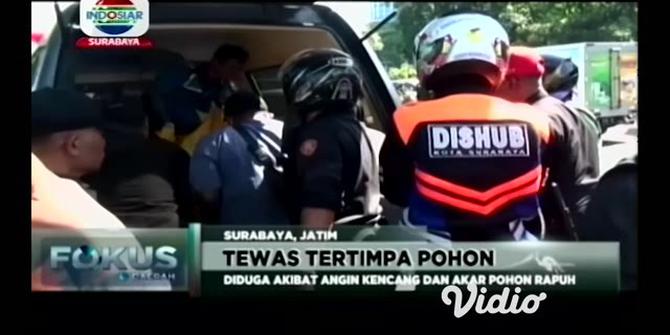 VIDEO: Pohon Tumbang di Jalan Ahmad Yani Surabaya, 1 Orang Tewas Tertimpa