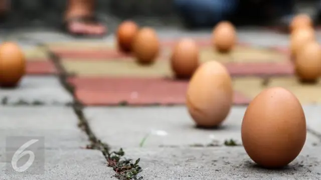 Telur ayam