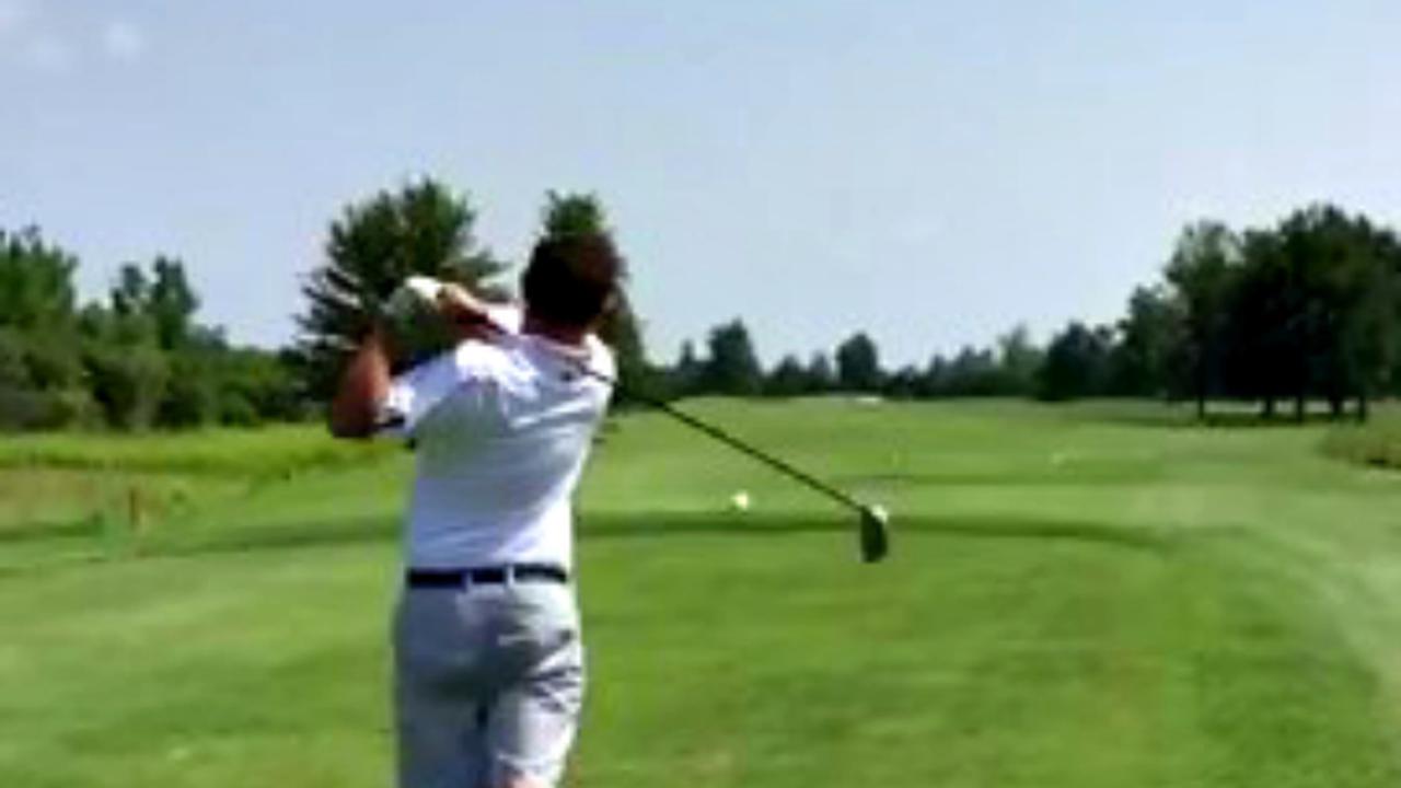 Burung Camar Malang Tersambar Bola Golf