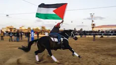 Aksi pria Palestina saat menunggangi kudanya selama mengikuti Arabian Horse Show di Kota Gaza, Palestina (3/3). Ajang yang digelar di Gaza ini sebagai unjuk kebolehan warga Gaza yang ahli mengendalikan dan menjinakkan kuda. (AFP Photo / Mohammed Abed)