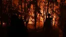 Petugas pemadam kebakaran memadamkan api saat kebakaran hutan dan lahan (karhutla) di Pekanbaru, Riau, Jumat (13/9/2019). Kabut asap hasil karhutla menyebabkan kegiatan belajar mengajar di Kota Pekanbaru lumpuh. (ADEK BERRY/AFP)