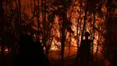 Petugas pemadam kebakaran memadamkan api saat kebakaran hutan dan lahan (karhutla) di Pekanbaru, Riau, Jumat (13/9/2019). Kabut asap hasil karhutla menyebabkan kegiatan belajar mengajar di Kota Pekanbaru lumpuh. (ADEK BERRY/AFP)