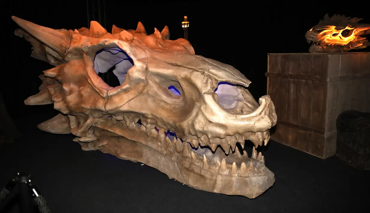 Tengkorak naga dipamerkan dalam pameran "The Game of Thrones Touring Exhibition" di Belfast's Titanic Exhibition Centre, Irlandia utara pada 10 April 2019. Pameran Game of Thrones Tour ini dibuka secara umum pada 12 April hingga 1 September 2019 mendatang. (AP Photo)