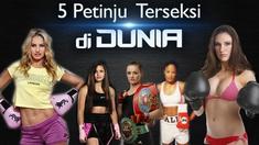 Video lima petinju wanita terseksi di dunia, salah satunya adalah Laila Ali petinju asal Amerika dan juga anak dari Muhammad Ali, legenda tinju dunia di era 80-an. 