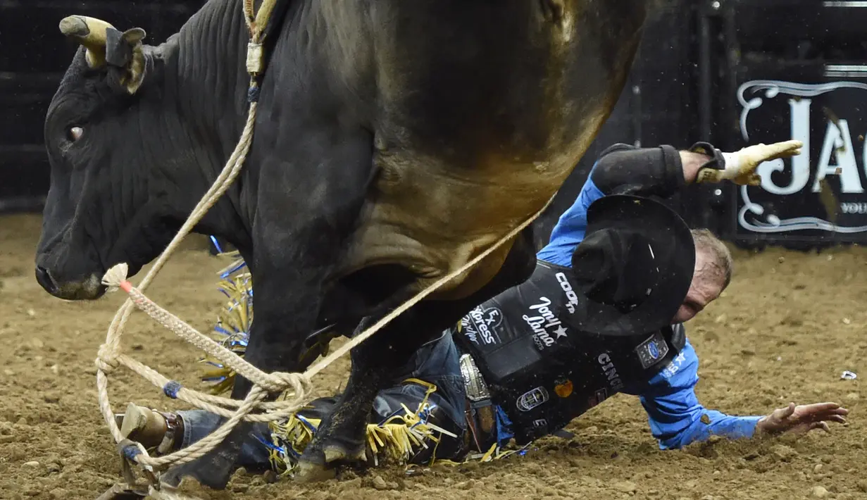 J.W. Harris tersungkur saat menunggangi Tractor Tippin di Built Ford Tough Series Monster Energy Buck Off di Madison Square Garden, New York, AS, Jumat (6/1). (AFP PHOTO / TIMOTHY A. Clary)
