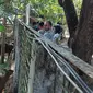 Kunjungan SIEJ Simpul Sulut ke ABC Manado sekaligus mendiskusikan bagaimana upaya pelestarian anoa (Bubalus sp) sebagai hewan endemik Sulawesi. (Foto: Yoseph Ikanubun/Liputan6.com)