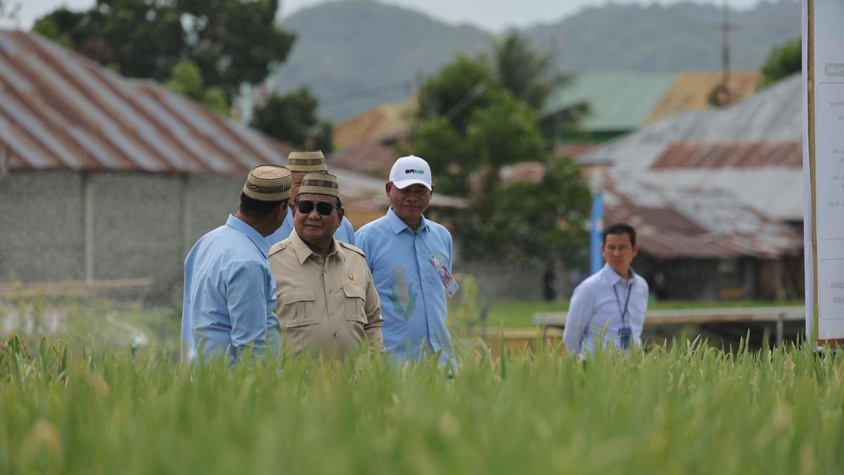 Prabowo: Indonesia Siap Buka Ekspor Bahan Pangan, Asal Petani Tak Rugi