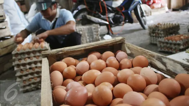 Harga-Telur-Ayam