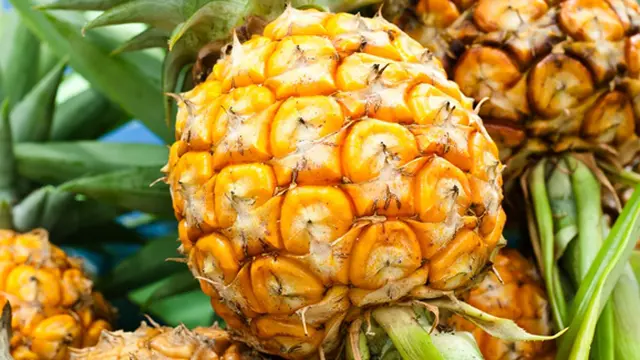 Courtesy ShutterStock.com